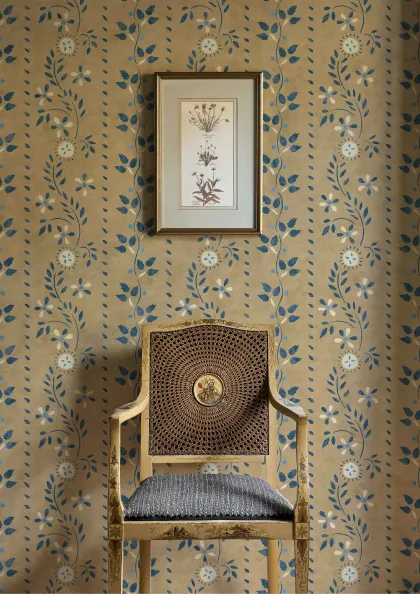 Folklore lifestyle image
