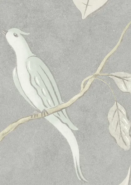 Honey Dove