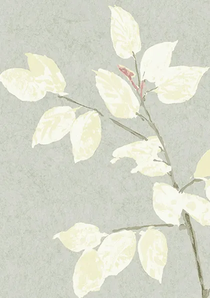 Dove