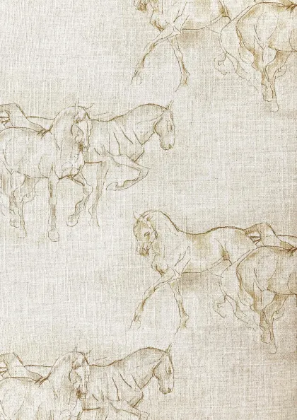 Equus