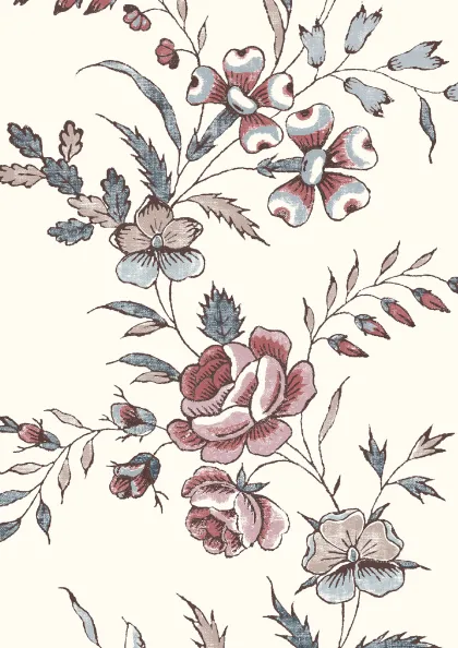 Anemone