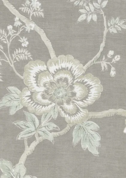 Hellebore