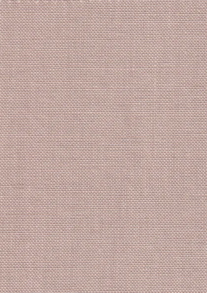 Sugar Almond