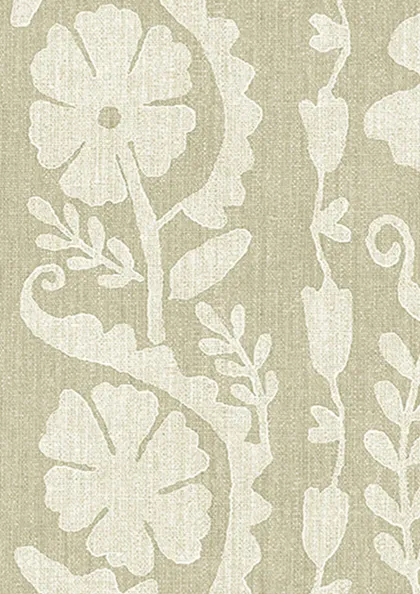 Verbena