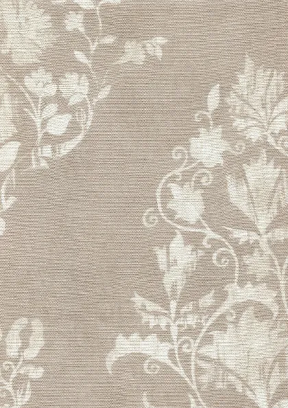 Plaster