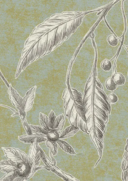 Charcoal Lime