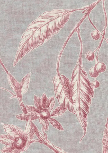 Parma Pink