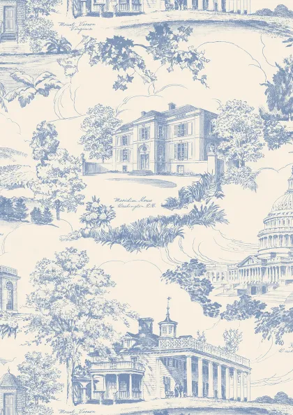 Washington Toile