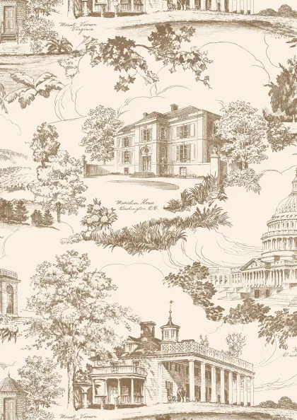 Washington Toile