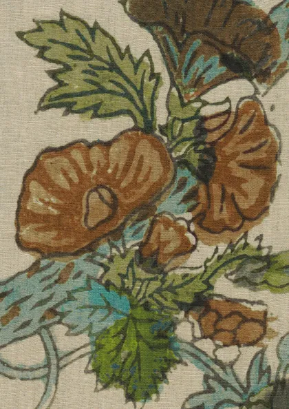 Ginger Kiwi